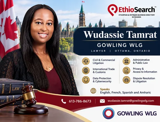 wudassie tamrat laywer ottawa